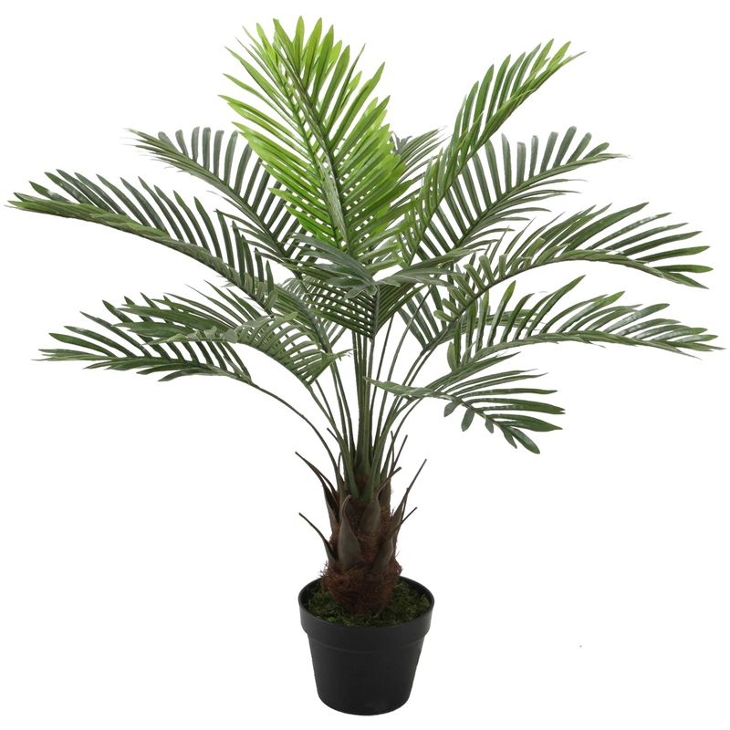 MALLORCA - Planta Decorativa Palma Phoenix 90 Cms..