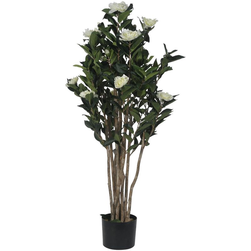 MALLORCA - Planta Decorativa Camelia Japonica 120 Cms.
