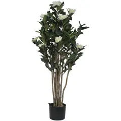 MALLORCA - Planta Decorativa Camelia Japonica 120 Cms.
