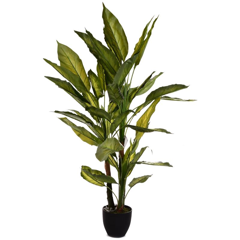MALLORCA - Planta Decorativa Aglaonema Variegado 125 Cms.