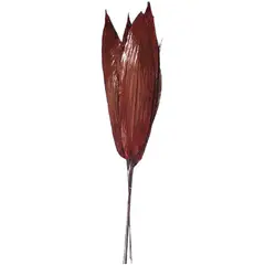 MALLORCA - Arreglo Decorativo Ramo Aspidistra Rojo Seco 6 Piezas