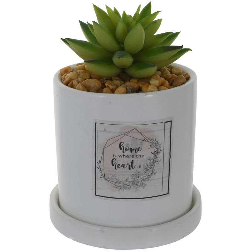 MALLORCA - Planta Decorativa Home in The Heart