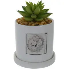 MALLORCA - Planta Decorativa Home in The Heart