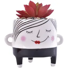 MALLORCA - Suculenta Decorativa Ambrosia Roja con Maceta