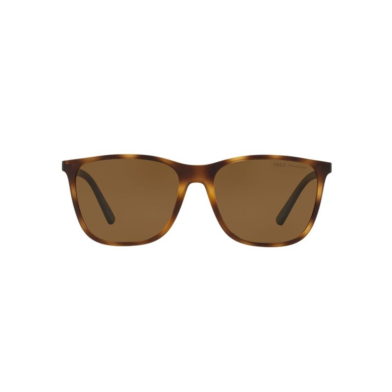 POLO - Lentes de Sol Tortoise