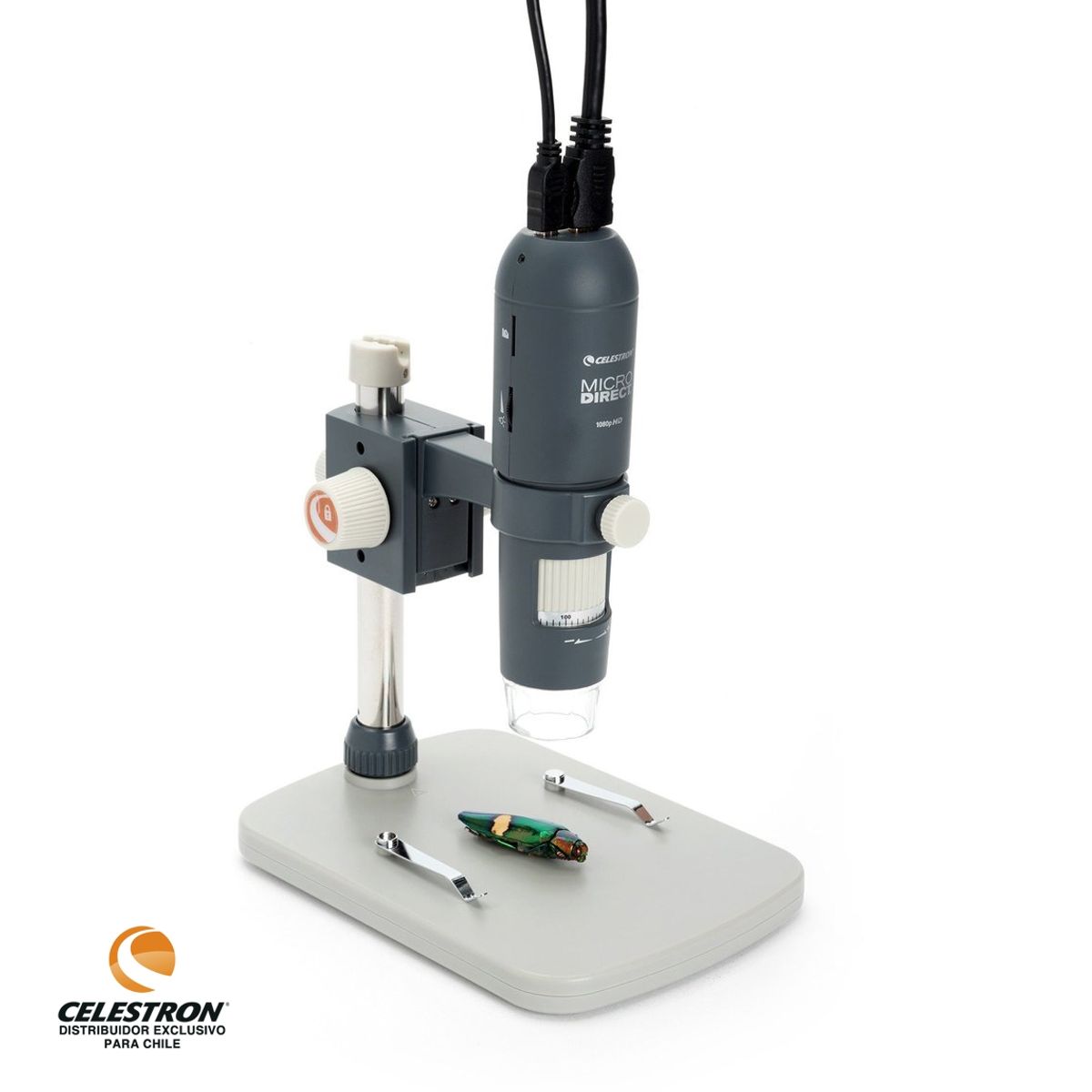 CELESTRON - Microscopio Celestron MicroDirect 1080p