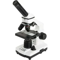 Microscopio CM800