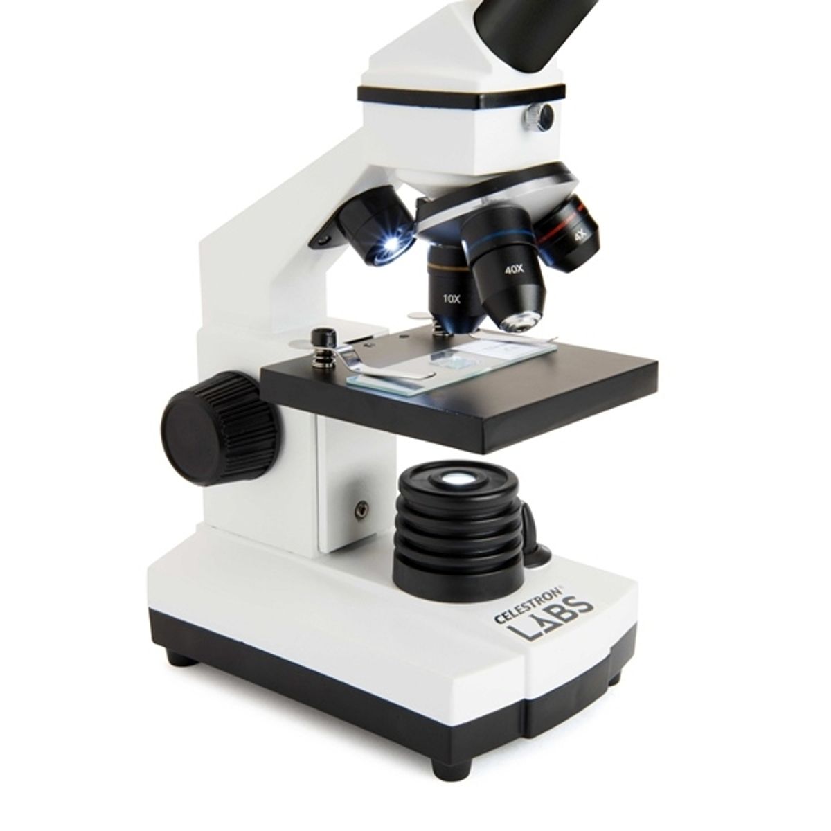 CELESTRON - Microscopio Celestron CM800 