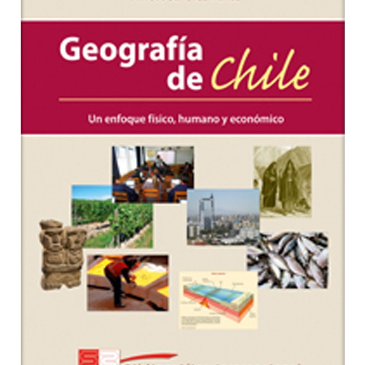 TOP10BOOKS - Libro GEOGRAFIA DE CHILE