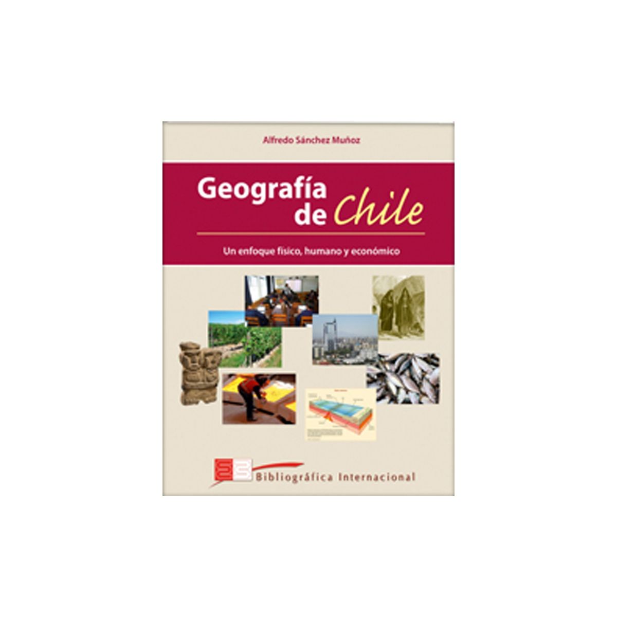 TOP10BOOKS - Libro GEOGRAFIA DE CHILE