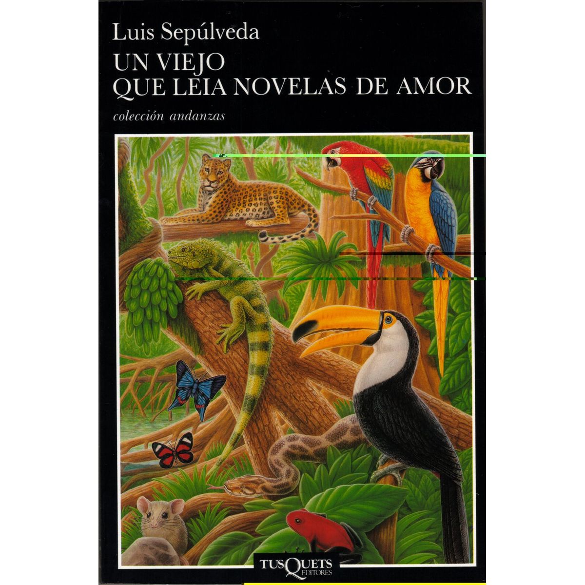 TOP10BOOKS - LIBRO Un Viejo Que Leia Novelas De Amor - Un Viejo Que Leia Novelas De Amor