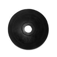 Disco Olimpico Engomado ER 5 KG Par Total 10 KG