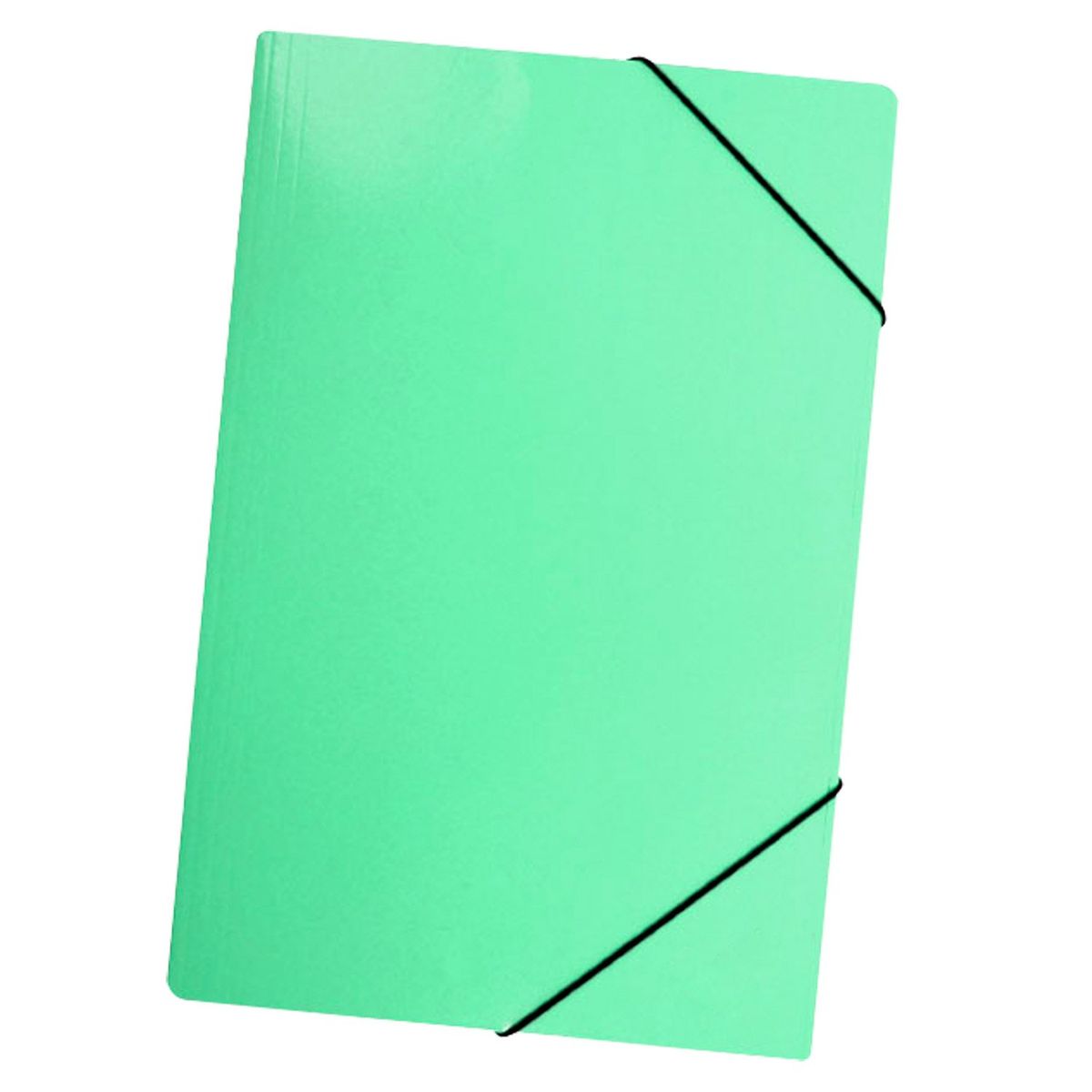 LAVORO - Carpeta Con Elastico Oficio Verde Pastel Lavoro
