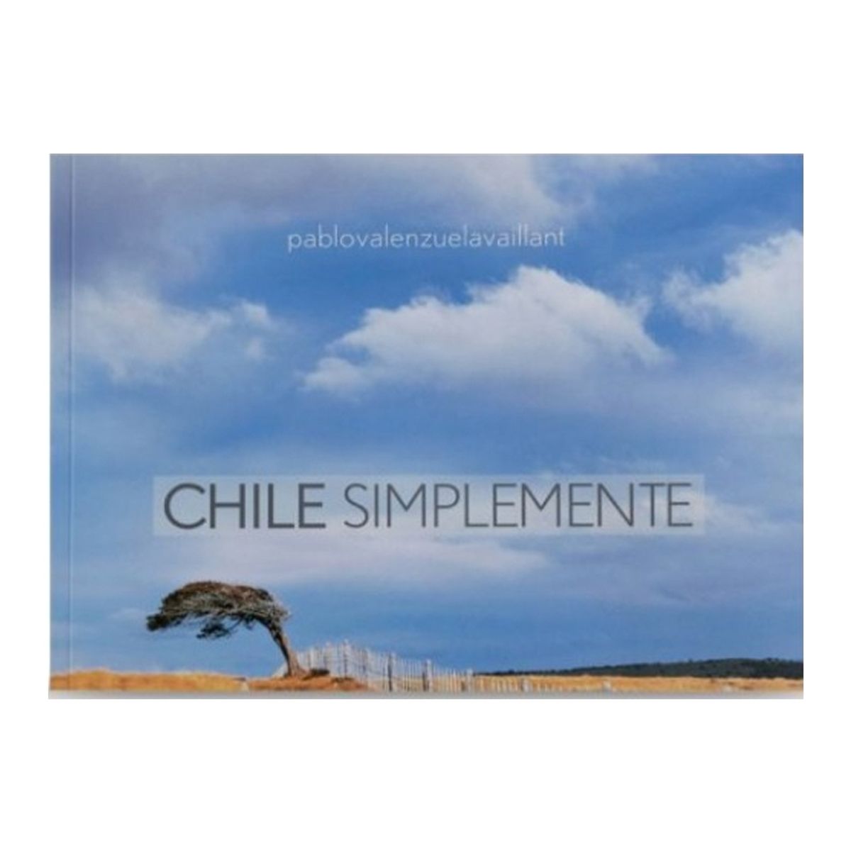 TOP10BOOKS - LIBRO Chile Simplemente - CHILE SIMPLEMENTE