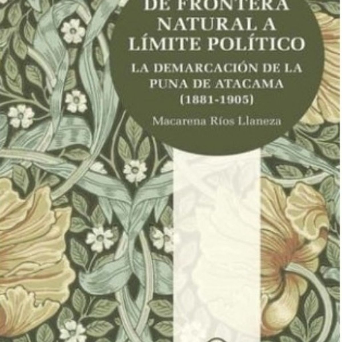 TOP10BOOKS - LIBRO De Frontera Natural A Limite Político. La Demarcación De La Puna De