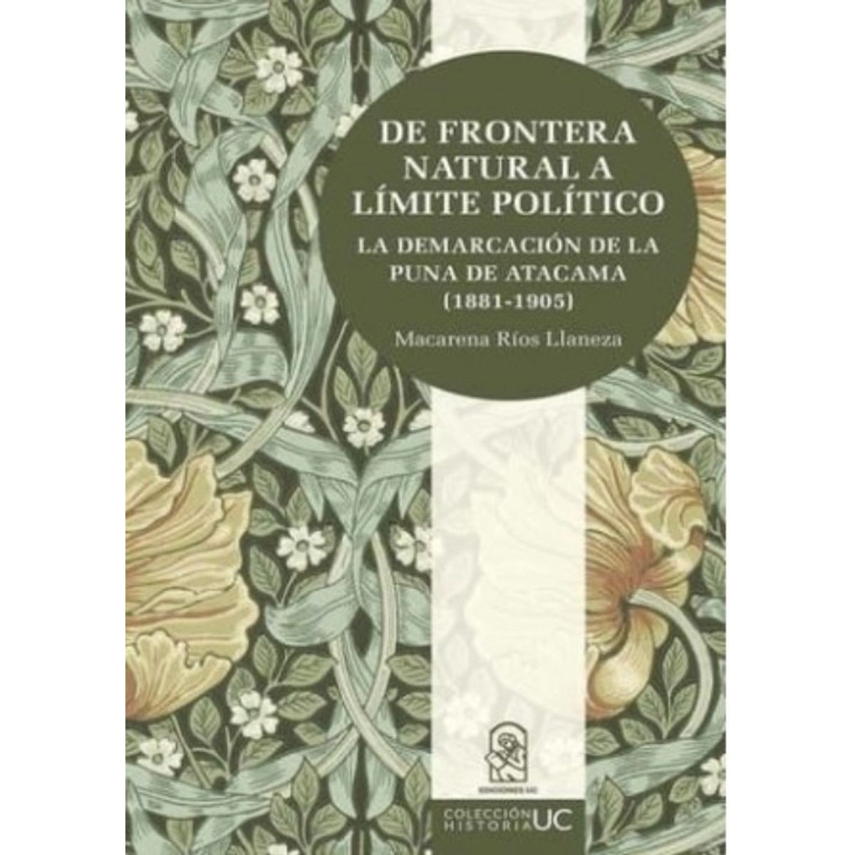 TOP10BOOKS - LIBRO De Frontera Natural A Limite Político. La Demarcación De La Puna De
