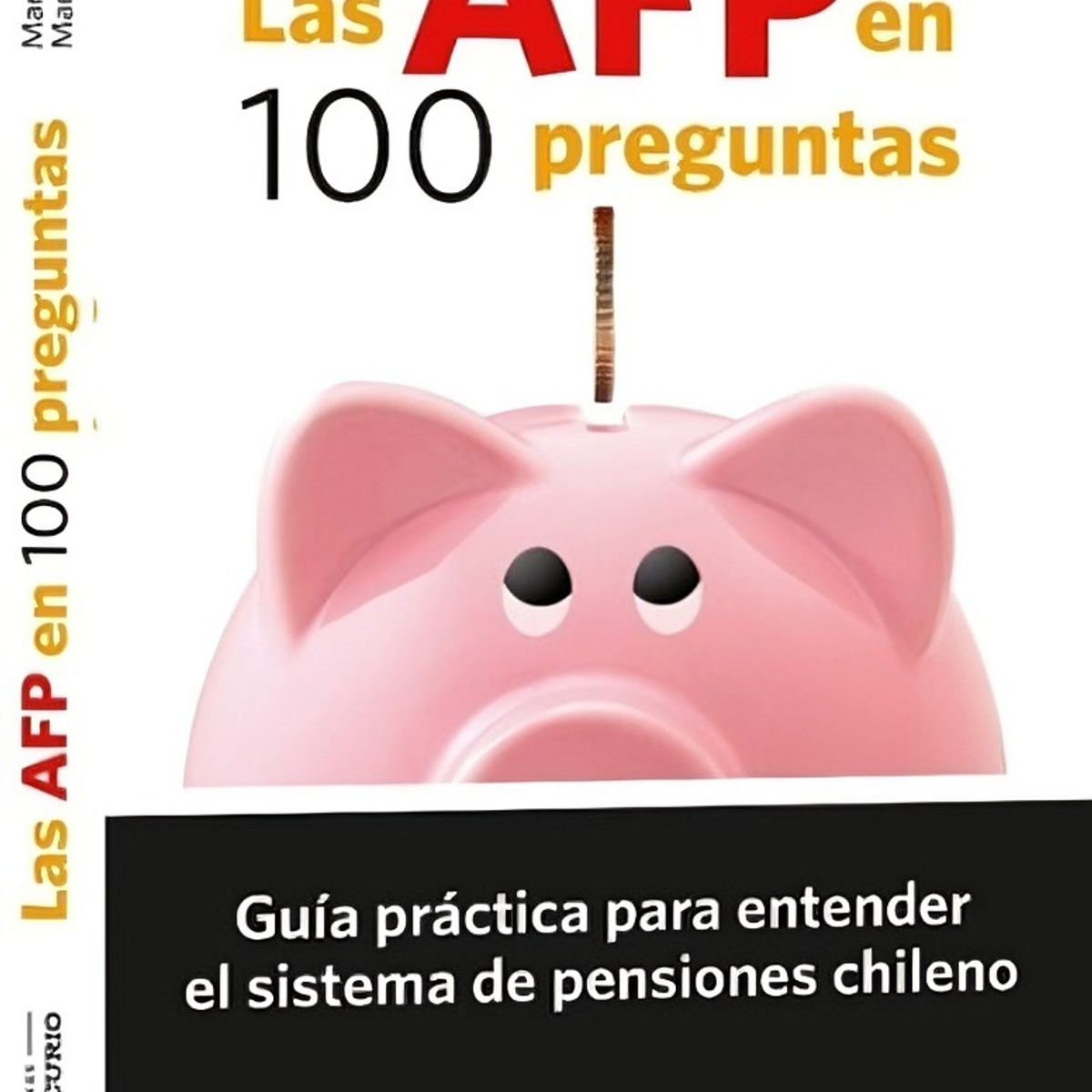TOP10BOOKS - LIBRO Las Afp En 100 Preguntas - Las AFP En 100 Preguntas