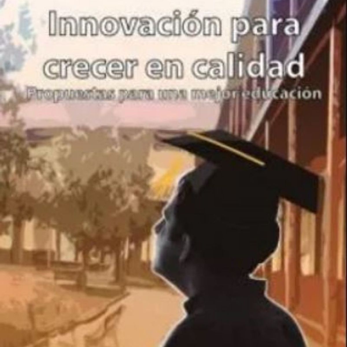 TOP10BOOKS - LIBRO Innovación Para Crecer En Calidad - Innovación Para Crecer En Calidad