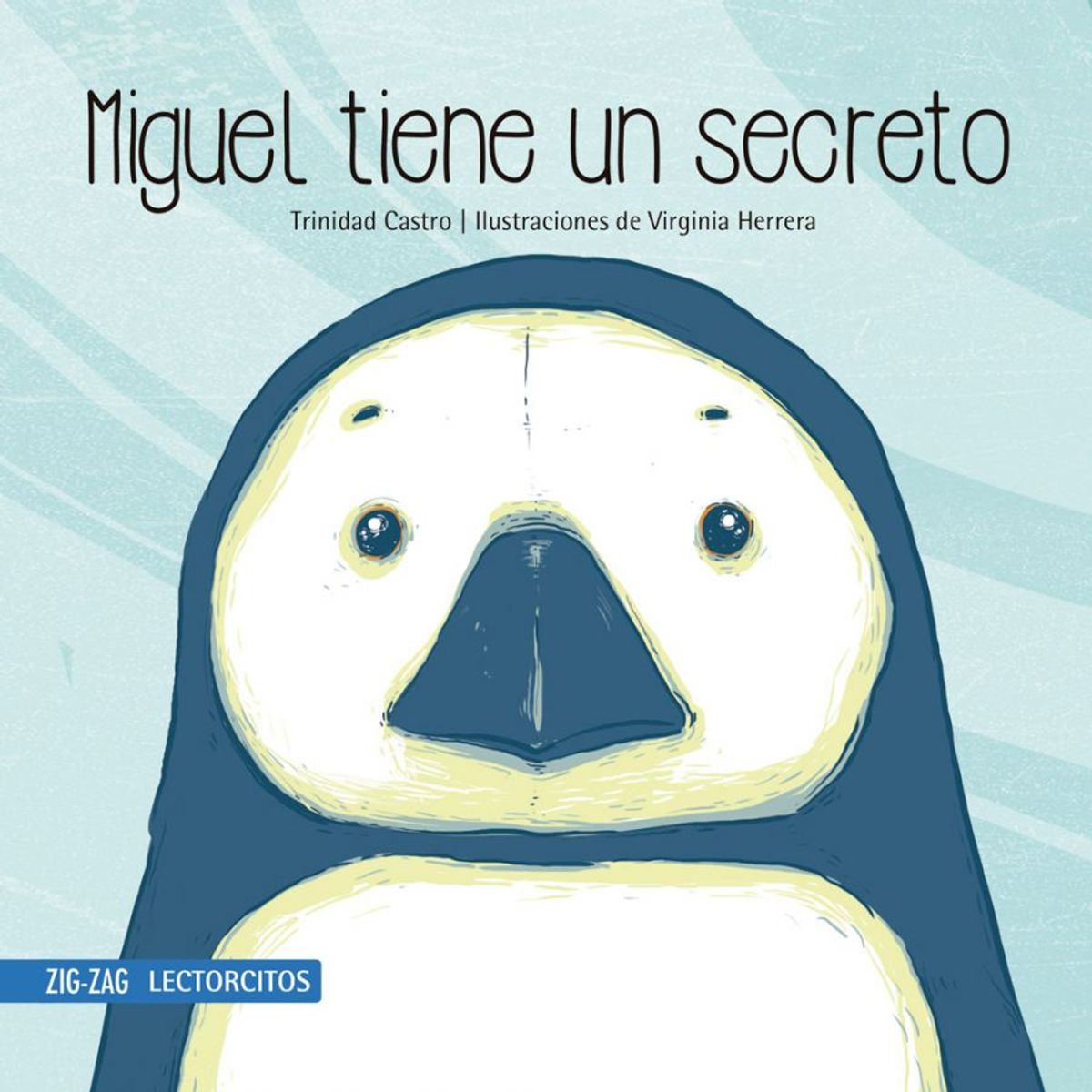 TOP10BOOKS - LIBRO Miguel Tiene Un Secreto - T. Castro