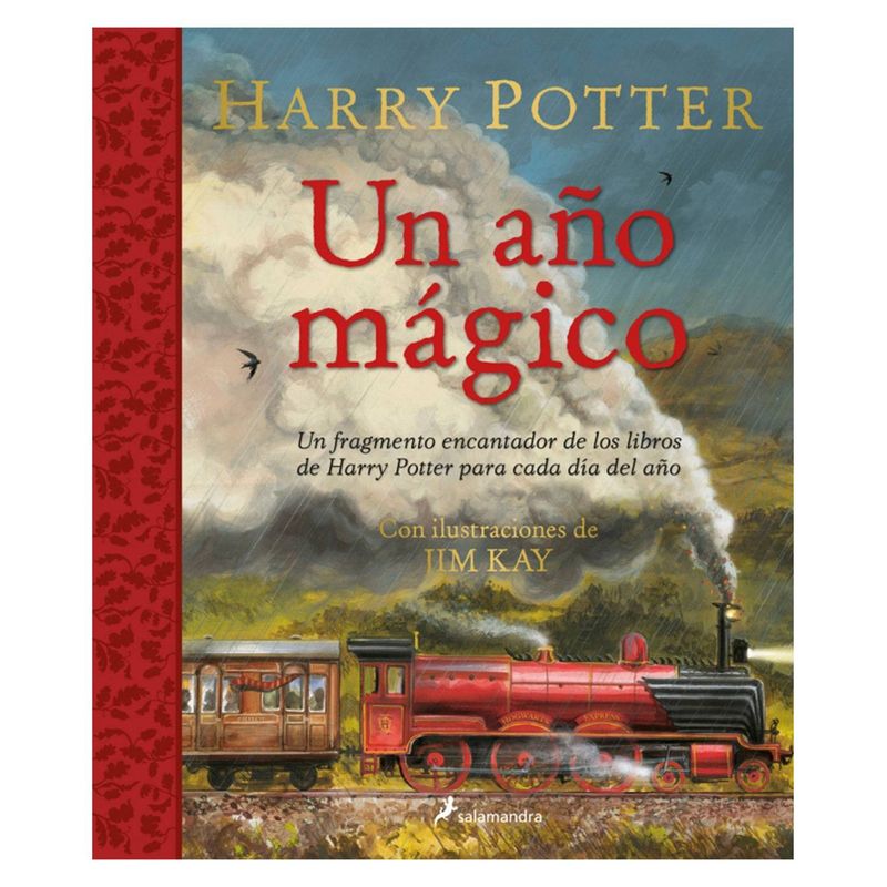 TOP10BOOKS - Libro HARRY POTTER: UN ANO MAGICO