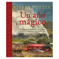 TOP10BOOKS - Libro HARRY POTTER: UN ANO MAGICO