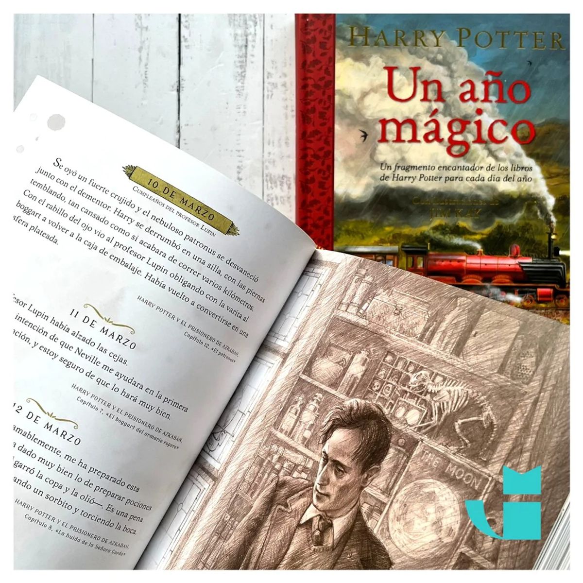 TOP10BOOKS - LIBRO Harry Potter: Un Ano Magico - J. K. ROWLING - JIM KAY