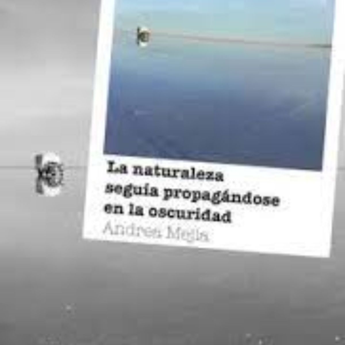 TOP10BOOKS - Libro LA NATURALEZA SEGUIA PROPAGANDOSE EN LA OSCURIDAD