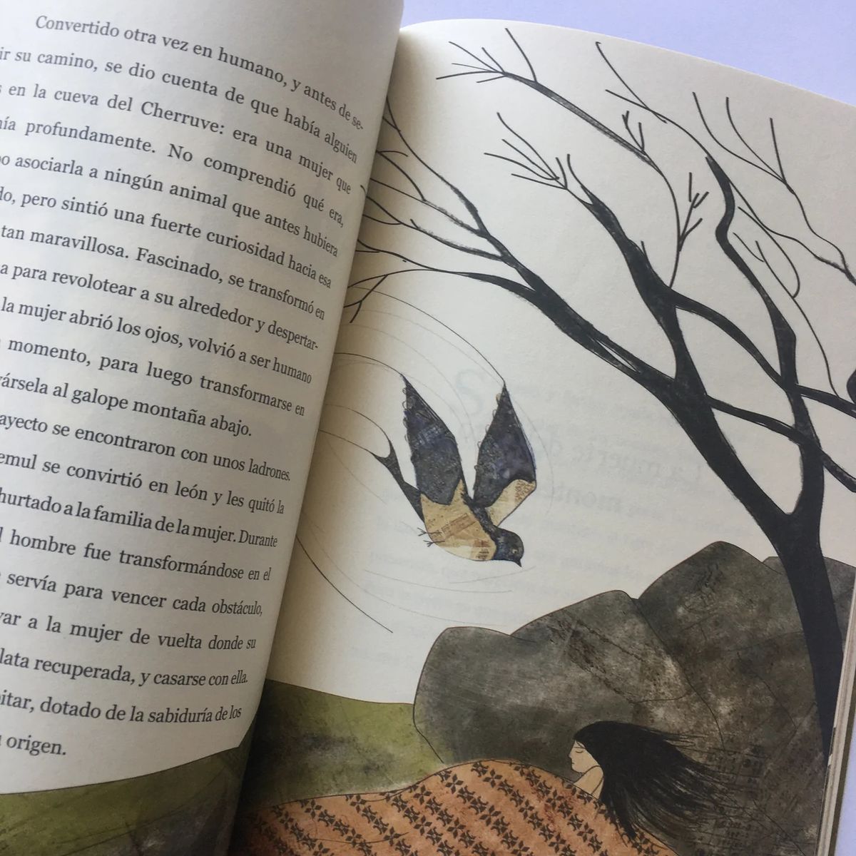 TOP10BOOKS - LIBRO Hazañas Y Grandezas De Los Animales Chilenos