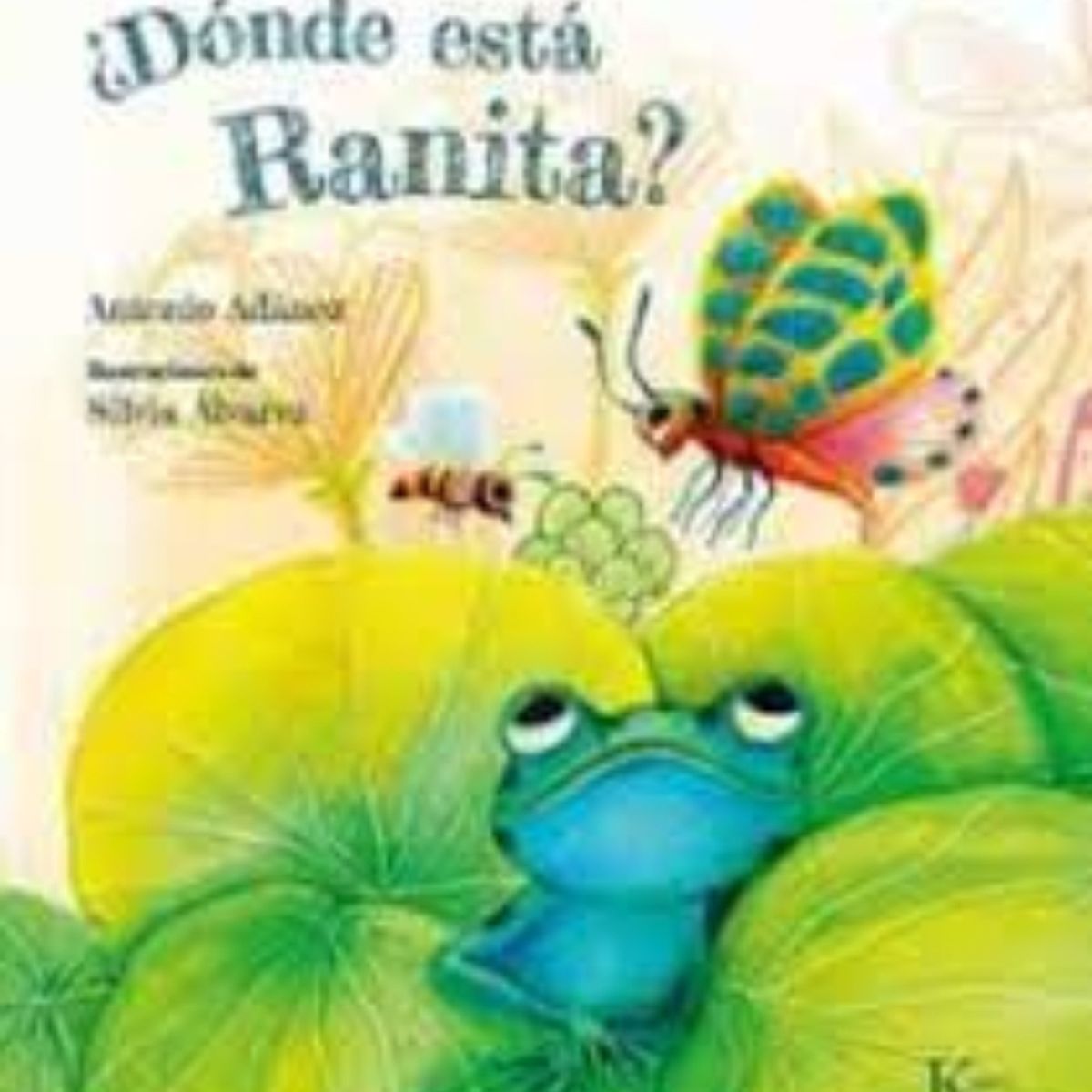 TOP10BOOKS - Libro ¿Donde Esta Ranita? -528-