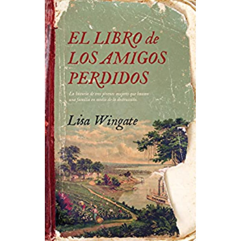 TOP10BOOKS - Libro El Libro De Los Amigos Perdidos -459-