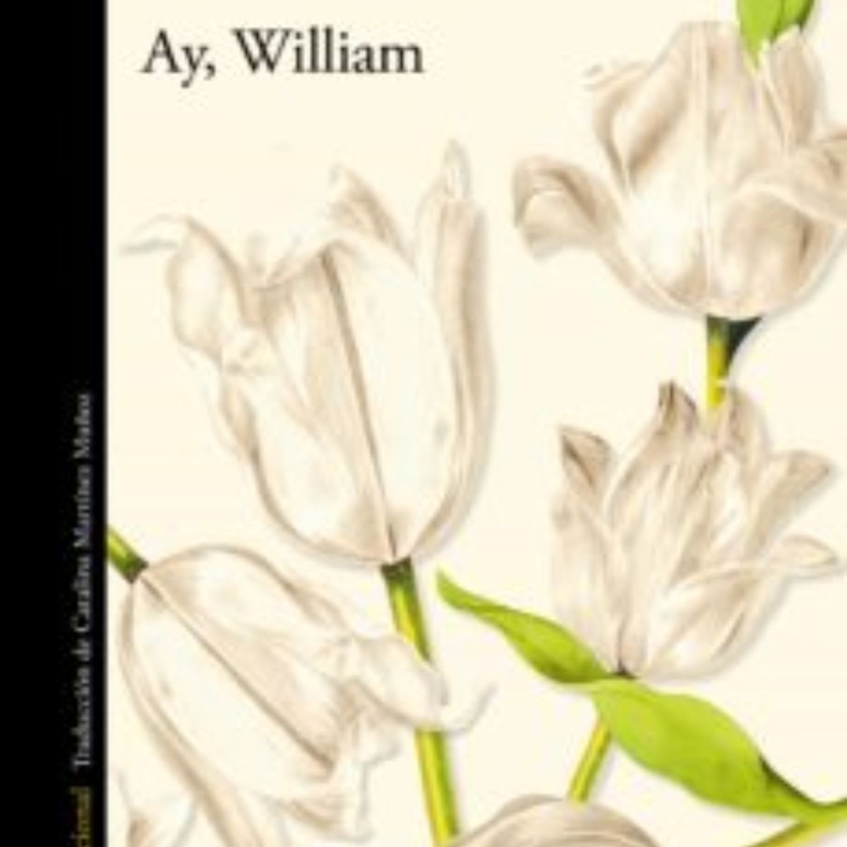 TOP10BOOKS - LIBRO Ay, William - ELIZABETH STROUT