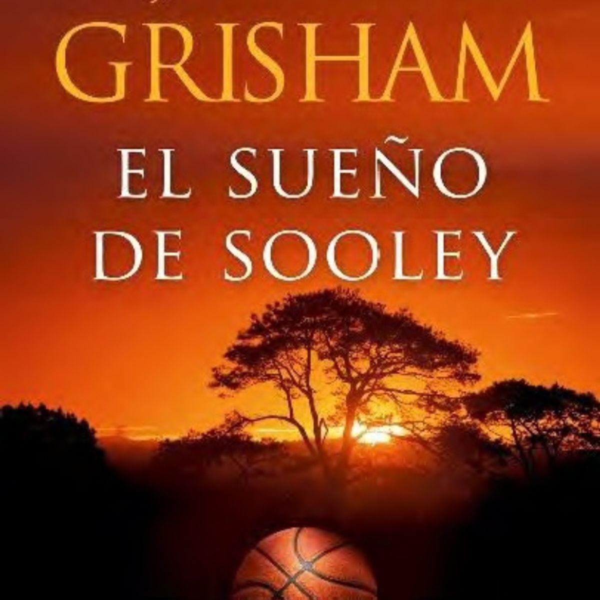 TOP10BOOKS - LIBRO El Sueno De Sooley - El Sueno De Sooley