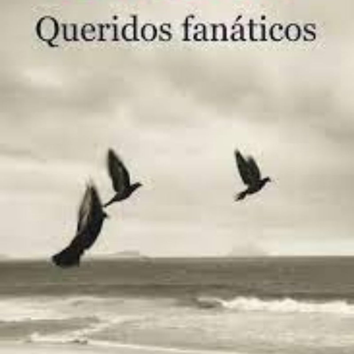 TOP10BOOKS - LIBRO Queridos Fanaticos - Queridos Fanaticos