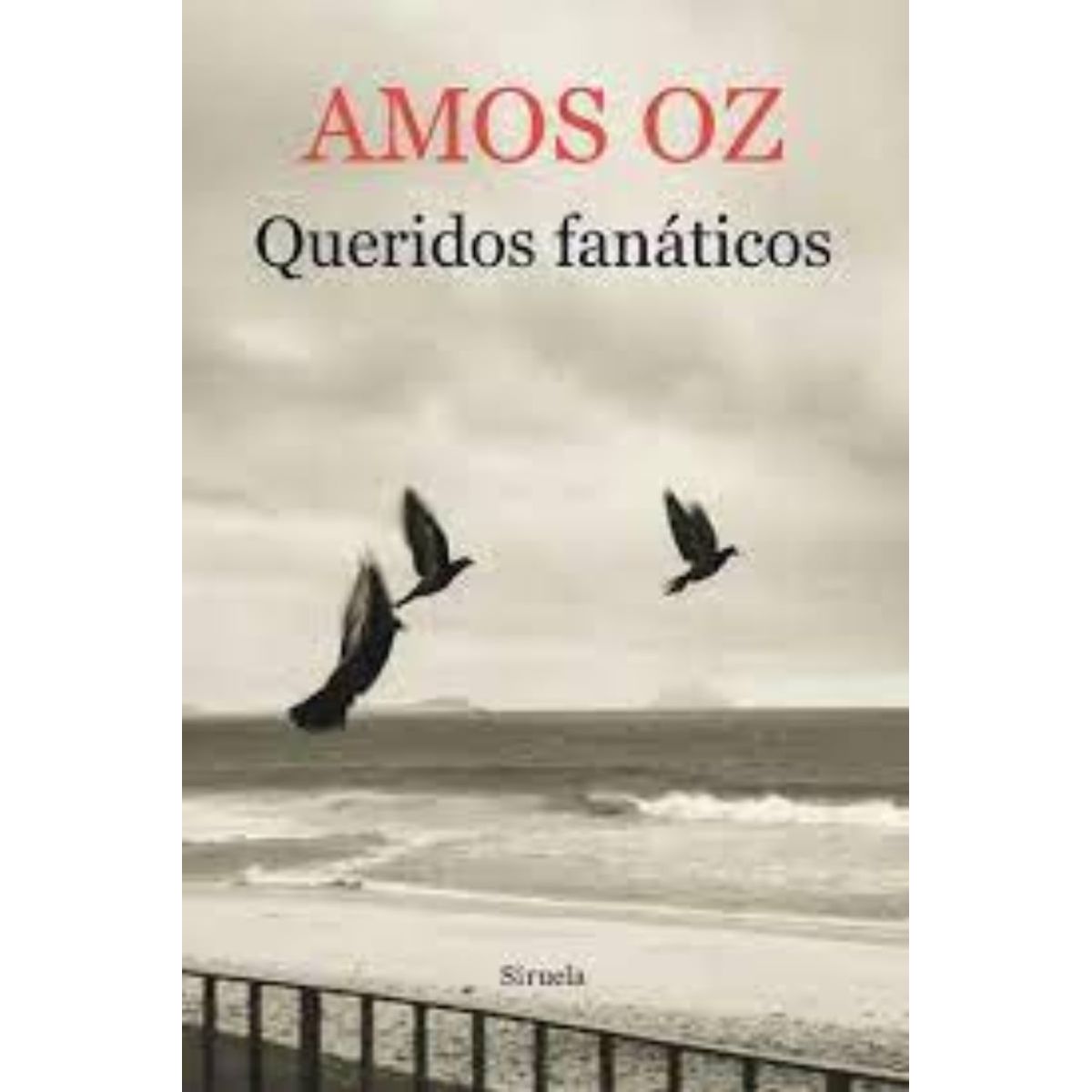TOP10BOOKS - LIBRO Queridos Fanaticos - Queridos Fanaticos
