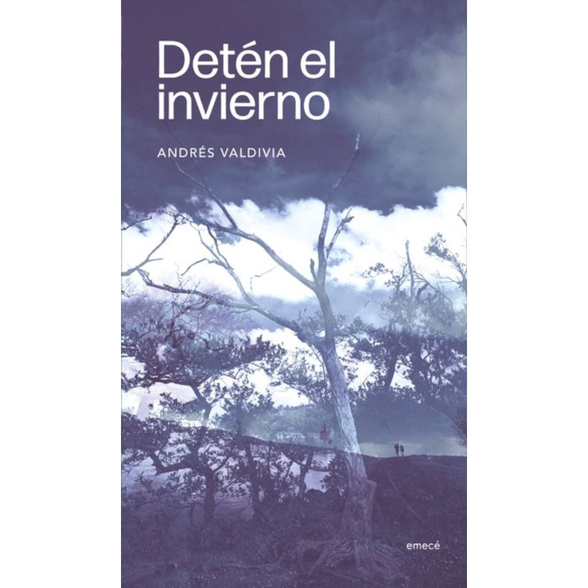TOP10BOOKS - LIBRO Deten El Invierno - Deten El Invierno