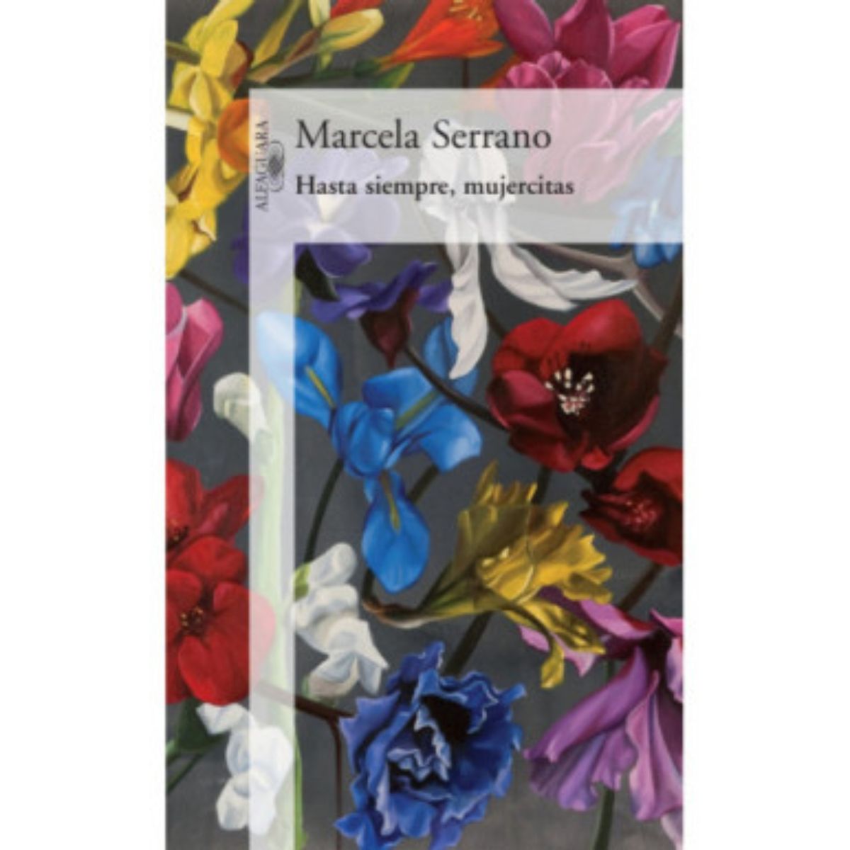 TOP10BOOKS - LIBRO Hasta Siempre, Mujercitas - Hasta Siempre, Mujercitas