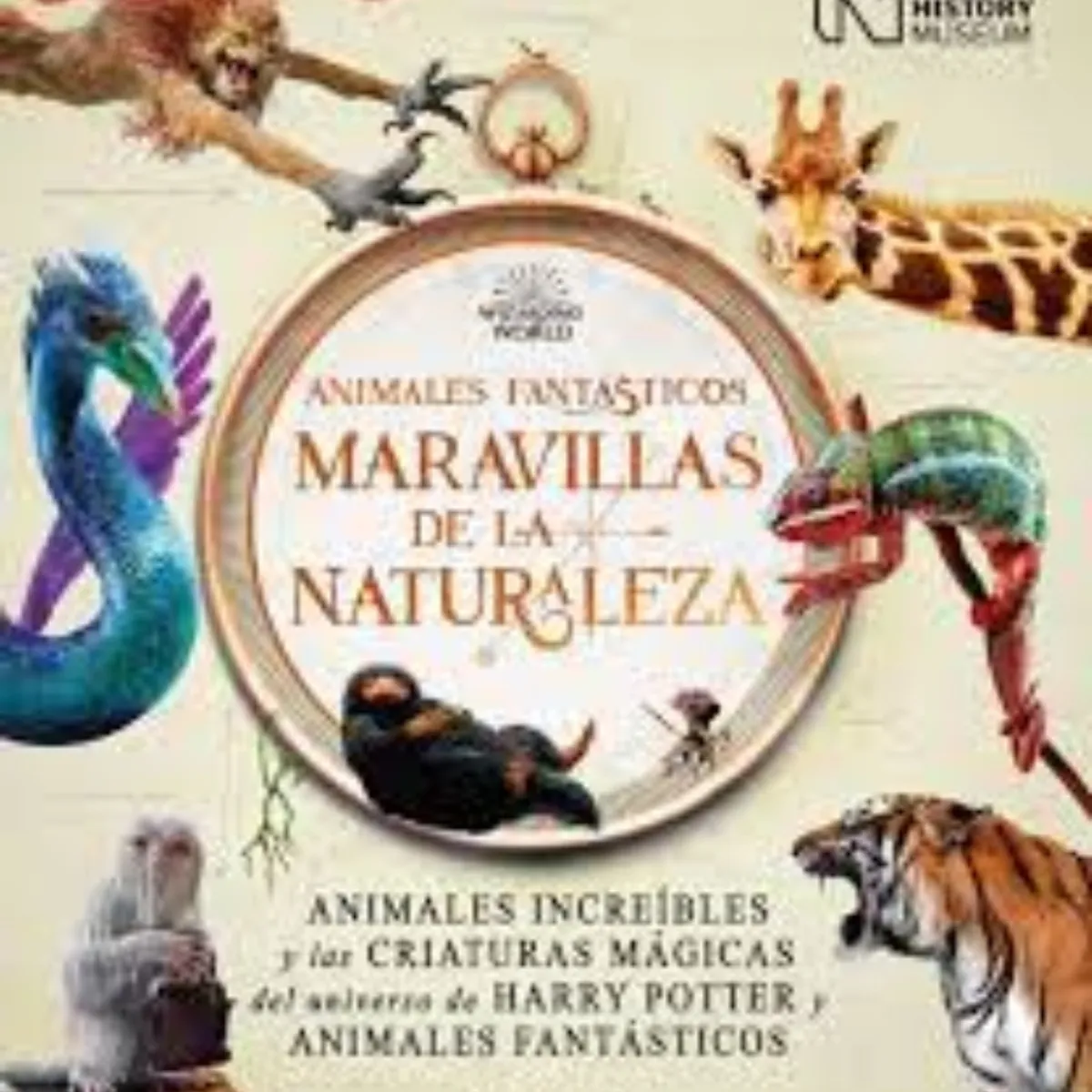 TOP10BOOKS - LIBRO Animales Fantasticos - Maravillas De La Naturaleza