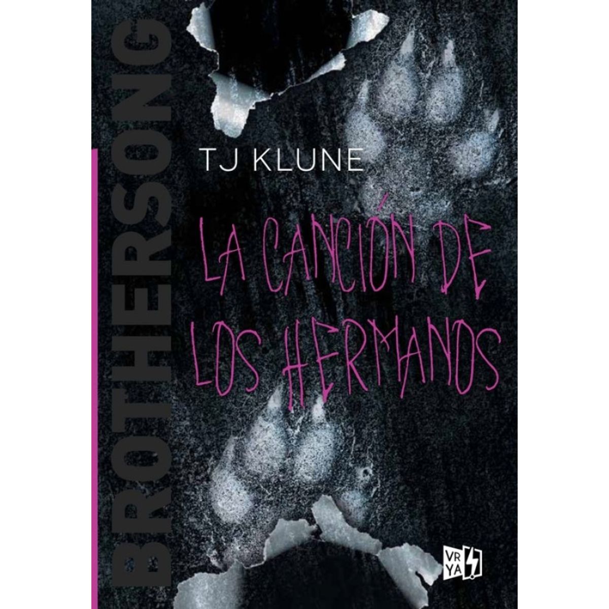 TOP10BOOKS - LIBRO Brothersong: La Cancion De Los Hermanos