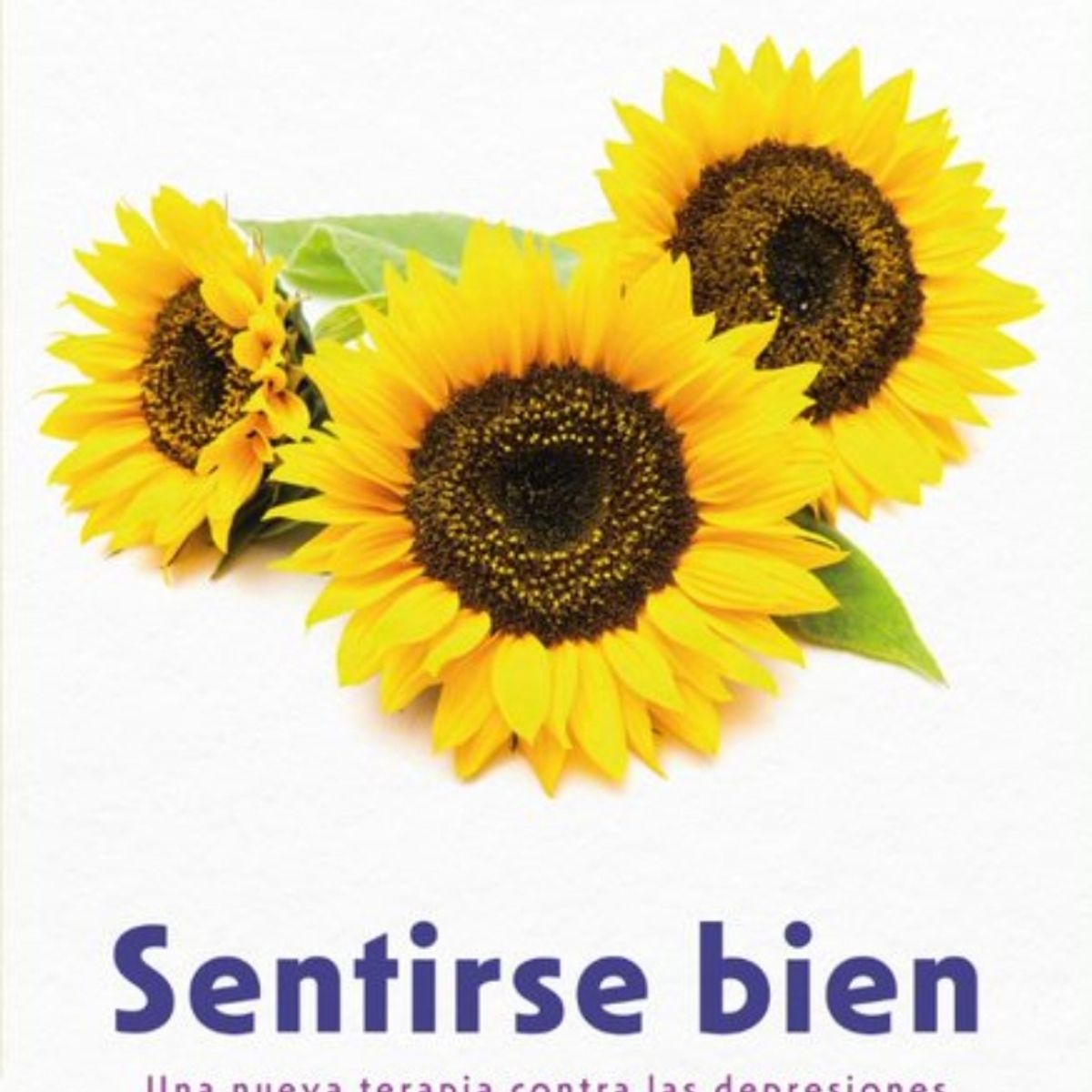 TOP10BOOKS - LIBRO Sentirse Bien - Sentirse Bien