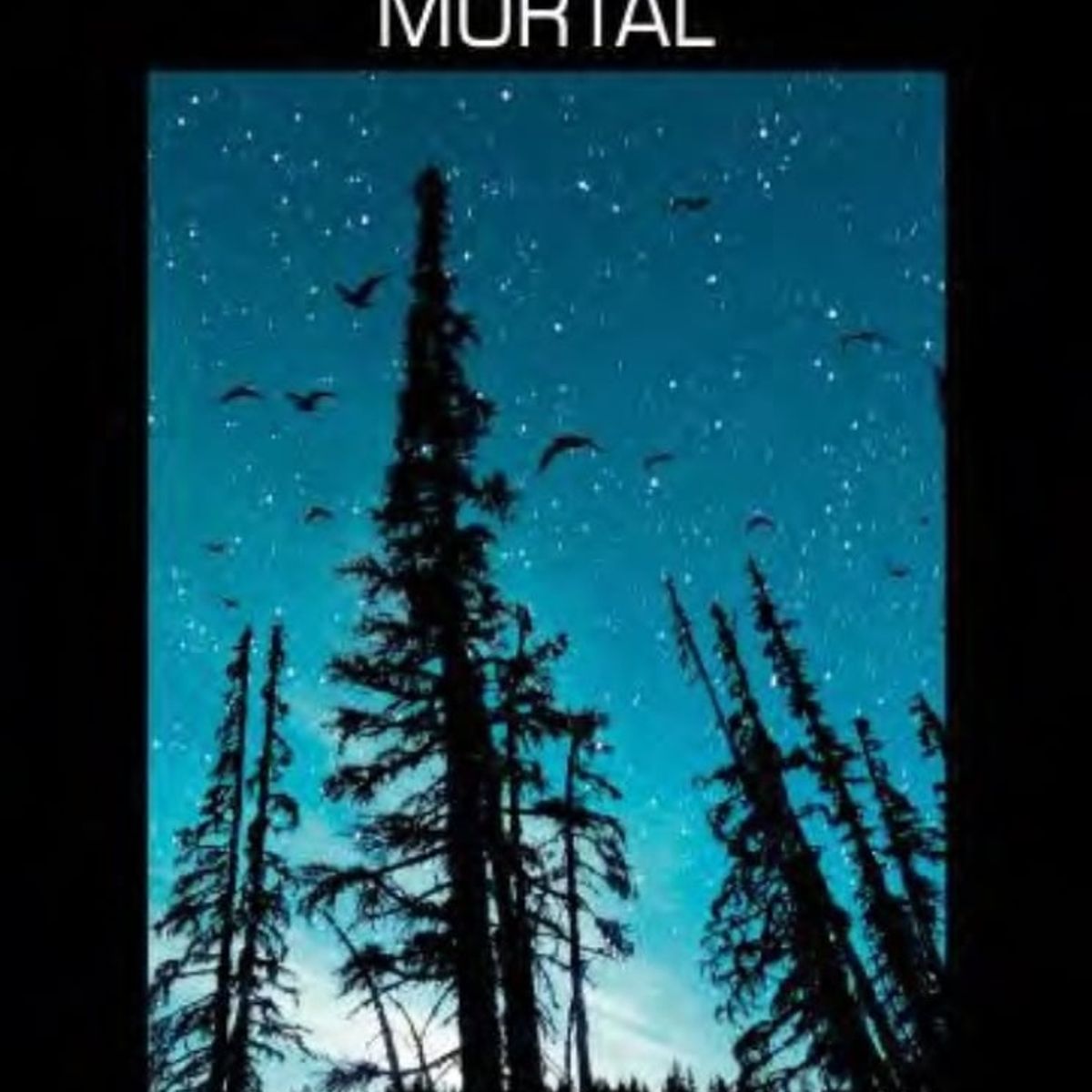 TOP10BOOKS - LIBRO Una Ofensa Mortal - Una Ofensa Mortal