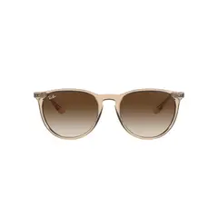 RAY BAN - Lentes de Sol Erika Light Brown
