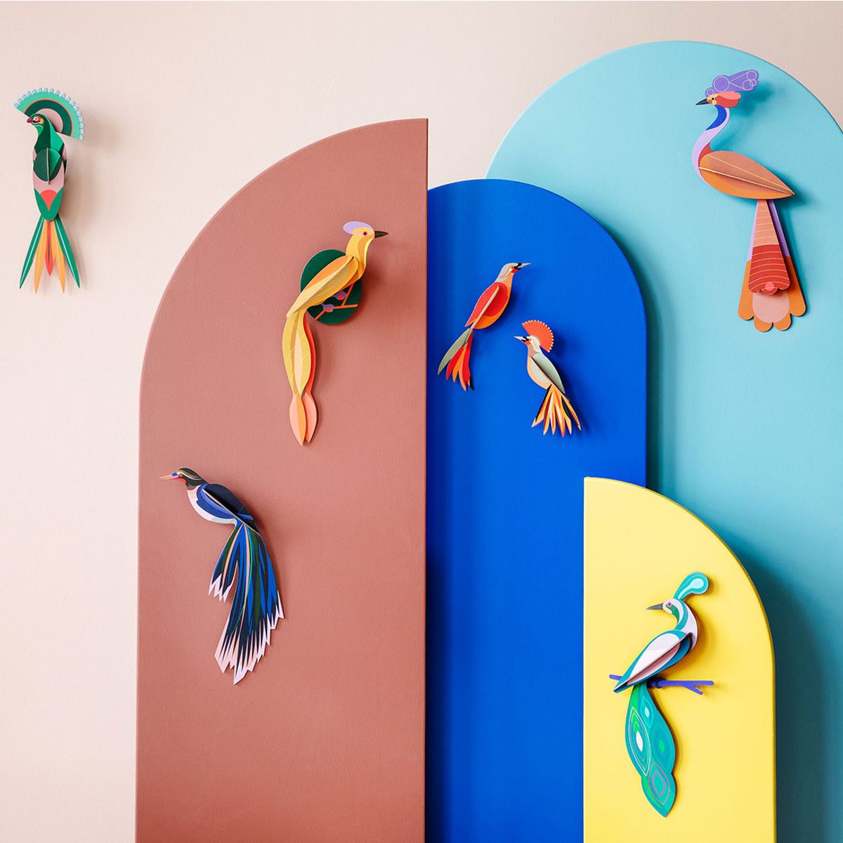 STUDIO ROOF - Ave del Paraiso - Olango STUDIO ROOF