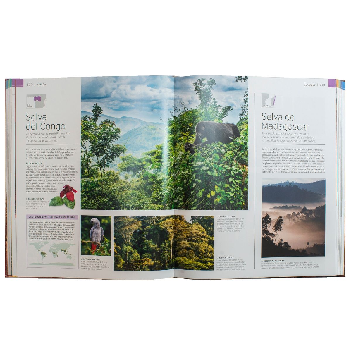 EDITORIAL DK - Dk Enciclopedia Maravillas Del Mundo Natural