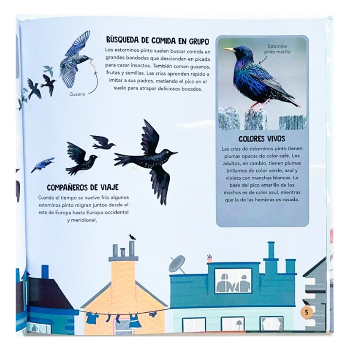 EDITORIAL CONTRAPUNTO - Equipos De Animales de Editorial Contrapunto