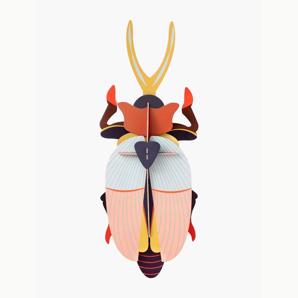 STUDIO ROOF - Deluxe - Rhinoceros Beetle STUDIO ROOF