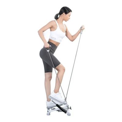 Imagen 2 del producto Mini Stepper DLX STP-106