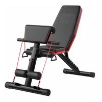 Banca Abdominal Ajustable Full Biceps Con Bandas Sportime