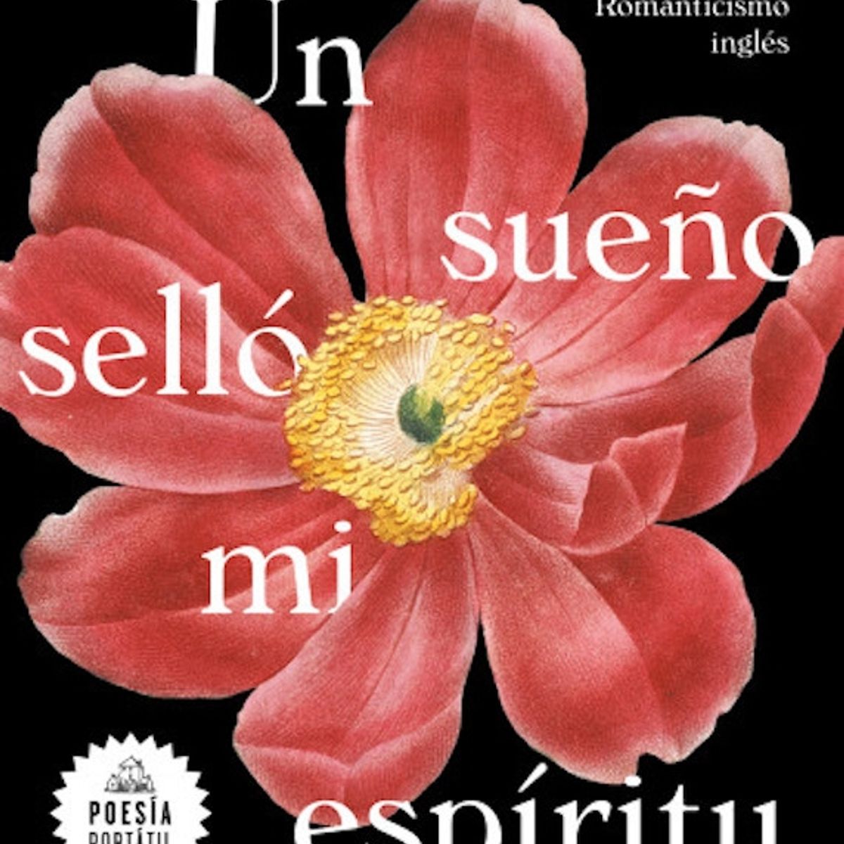 TOP10BOOKS - LIBRO Un Sueno Sello Mi Espíritu - Un Sueno Sello Mi Espíritu