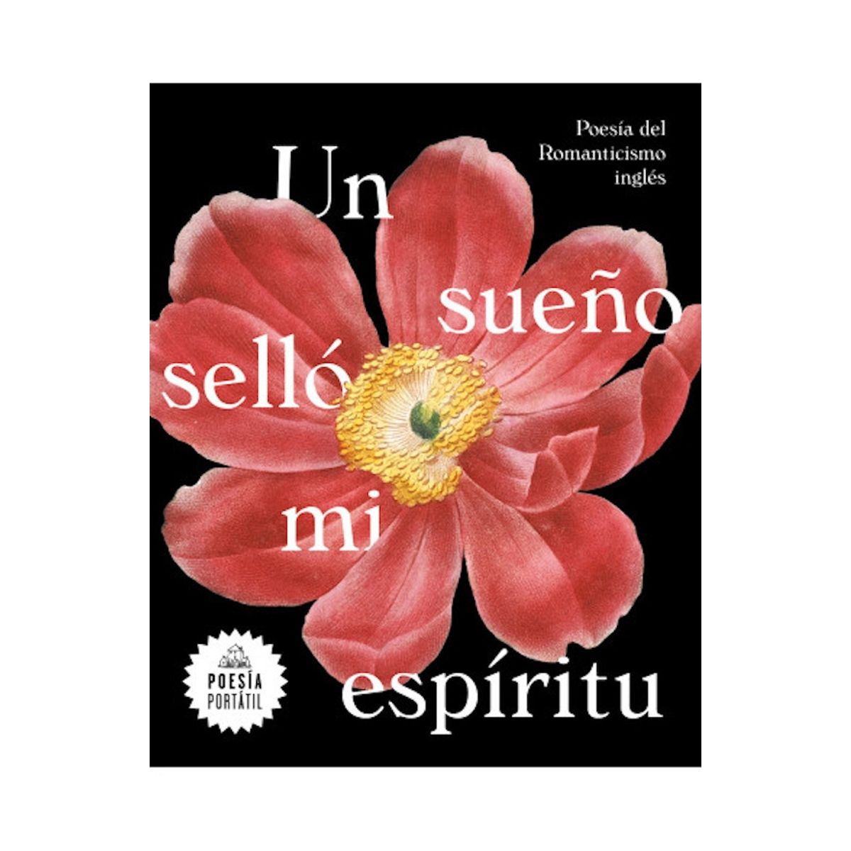TOP10BOOKS - LIBRO Un Sueno Sello Mi Espíritu - Un Sueno Sello Mi Espíritu