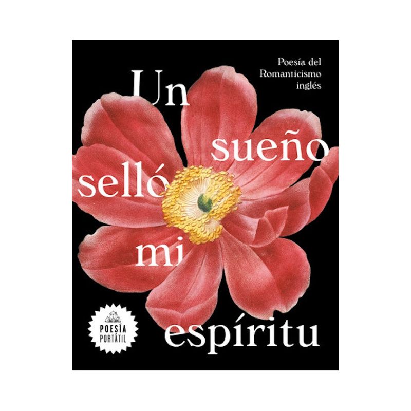 TOP10BOOKS - Libro UN SUENO s e l l o MI ESPIRITU